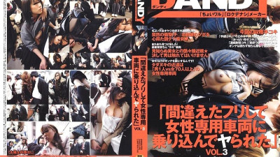 DANDY-028 I pretended to be wrong and got into a women-only car and was fucked VOL.3 [섹트야동,쇼츠야동,한국야동,딸퀸야동]