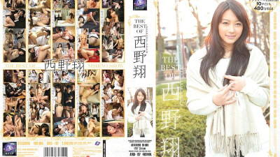 ATKD-197 THE BEST OF Sho Nishino [섹트야동,쇼츠야동,한국야동,딸퀸야동]