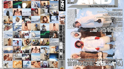 DANDY-237 Commemorating DANDY [섹트야동,쇼츠야동,한국야동,딸퀸야동]