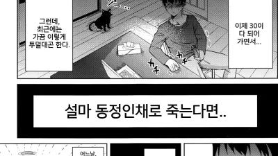 인간이 된 고양이 [섹트야동,쇼츠야동,한국야동,딸퀸야동]