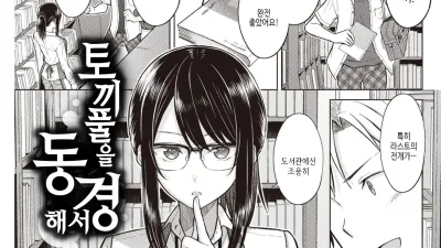 토끼풀을 동경해서 [섹트야동,쇼츠야동,한국야동,딸퀸야동]