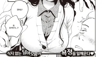 불의 씨앗 [섹트야동,쇼츠야동,한국야동,딸퀸야동]